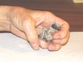 Baby_Mourning_Dove