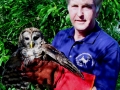 Ron_&_Barred_Owl